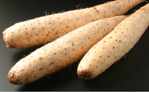 北海道 十勝の大地が育てたシャキシャキ食感と強い粘り 幕別産 長いも Lサイズ 10kg［木川商店］【 長いも 長芋 ながいも ナガイモ とろろ 芋 いも 野菜 10kg 5kg 産地直送 旬 濃厚 北海道 十勝 幕別 】 [№5749-1090]