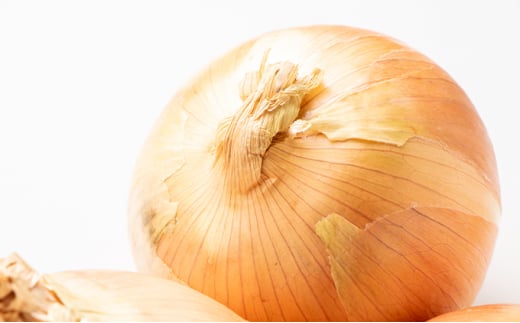 十勝幕別のジャンボ玉ねぎ20kg（3L）【北海道ホープランド農場】 [№5749-1160]