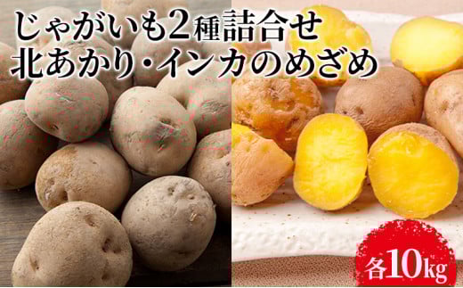 じゃがいも2種詰合せ（北あかり10kg・インカのめざめ10kg）【十勝幕別 北海道ホープランド農場】 [№5749-1169]