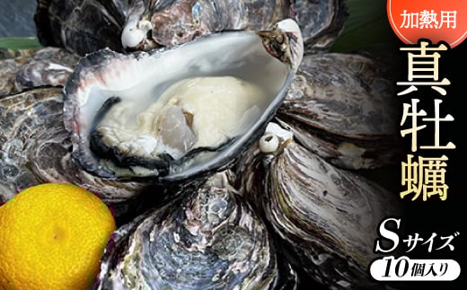 ＜Sサイズ10個入り:約40～30g/個＞加熱用真牡蠣　深日オイスターファーム直送　専用ナイフ付き　【1570875】