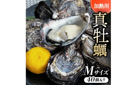 <Mサイズ40個入り:約60~41g/個>加熱用真牡蠣 深日オイスターファーム直送 専用ナイフ付き 【1570852】