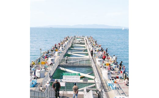 岬町海釣り公園・とっとパーク小島利用券<ファミリーセット>【1267400】