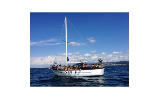 クルージング体験チケット＜5名様分体験チケット＞(大人2人・小人3人)1時間【1489951】