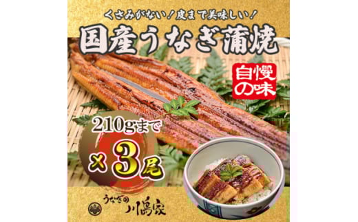 <冷凍3尾>岬町自慢の味 うなぎの川島家 国産うなぎ蒲焼 中サイズ(195~210g)特製タレ付き【1488338】