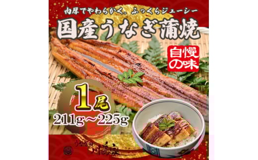 <冷凍1尾>岬町自慢の味 うなぎの川島家 国産うなぎ蒲焼 大サイズ(211g~225g)特製タレ付き【1488339】