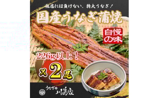 <冷凍2尾>岬町自慢の味 うなぎの川島家 国産うなぎ蒲焼 特大サイズ(226g以上)特製タレ付き【1488344】