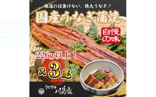 <冷凍3尾>岬町自慢の味 うなぎの川島家 国産うなぎ蒲焼 特大サイズ(226g以上)特製タレ付き【1488346】