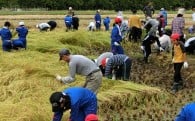 ふるさと人材育成応援