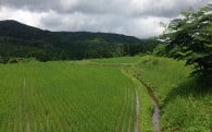 ふるさと環境応援