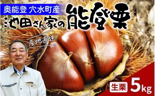 【先行予約】奥能登 池田栗園の能登栗 5kg 【2025年9月中旬以降順次発送】