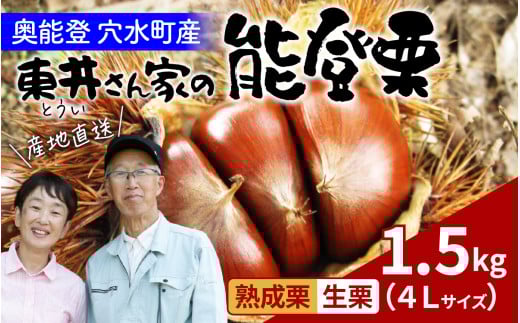 【先行予約】東井栗園の能登熟成栗  1.5㎏（4Lサイズ）～能登の大地で育った能登栗～【2025年10月中旬以降順次発送】/  能登半島 奥能登 くり 生栗 マロン 和栗 焼き栗 栗ごはん 焼き栗 国産 果物
