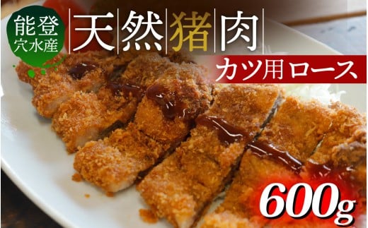 奥能登 穴水産 天然猪肉 ロース カツ用 120g × 5枚 計600g