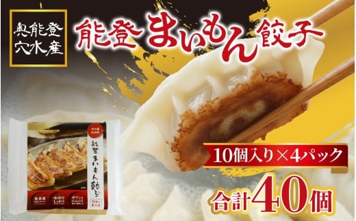 奥能登 穴水産 「能登まいもん餃子」 40個（10個入 × 4パック）| 奥能登 能登半島 穴水町 冷凍 小分け ぎょうざ ギョーザ レシピ付き 冷凍餃子 もちもち 能登豚 キャベツ ジューシー