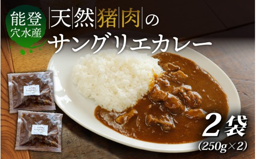 【能登・穴水産】天然 猪肉のサングリエカレー 2袋セット（計500g） | 奥能登 能登半島 穴水町 ジビエ 猪肉 お肉 カレー レトルト 500グラム