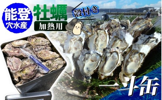 【先行予約】鮮度抜群!獲れたてをお届け! 能登穴水の牡蠣(殻付) 加熱用 一斗缶【2026年2月以降順次発送】 | 奥能登 能登半島 冷蔵 真牡蠣 カンカン焼き ナイフ付き 肉厚 殻付き 一斗缶 海鮮 魚介類 海産物 バーベキュー BBQ 貝 オイスター