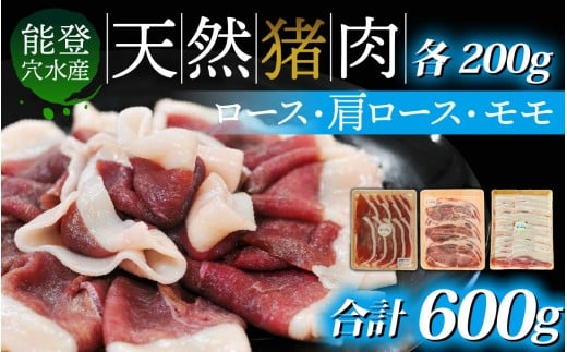 今話題のジビエ！奥能登穴水町産 天然 猪肉セット 600g 冷凍発送