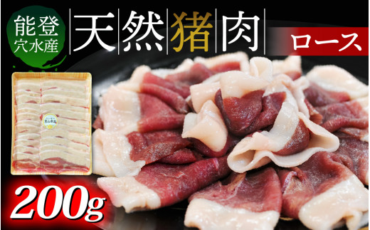 奥能登穴水町産 天然 猪肉（ロース200g） ｜いのしし イノシシ ジビエ じびえ 狩猟 天然 自然 国産 能登 奥能登 のと 里山 ジューシー さっぱり タンパク質 ビタミンB ダイエット