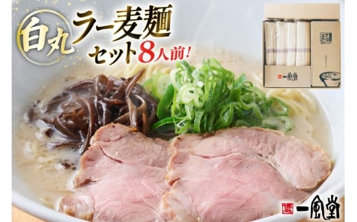 ラーメン 一風堂 白丸ラー麦麺 8食 セット [フーデリジェンス 福岡県 宇美町 um40azo980005] 博多 ラーメンセット らーめん 細麺 とんこつ とんこつラーメン