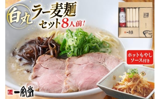 ラーメン 一風堂 白丸ラー麦麺 ホットもやしソース 8食 セット [フーデリジェンス 福岡県 宇美町 um40azo980004] 博多 ラーメンセット らーめん 細麺 とんこつ とんこつラーメン