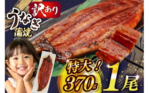 うなぎ 訳あり 鰻 蒲焼 特大 1尾 約370g 不揃い 規格外 小分け [大黒物産 福岡県 宇美町 um40bak830008] タレ 山椒付 茶葉蒸し ウナギ うなぎ蒲焼 鰻蒲焼き 蒲焼き かば焼き 真空パック 個包装 冷凍 unagi