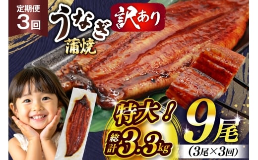 うなぎ 訳あり 鰻 蒲焼 特大 3尾 3回 定期便 総計約3.3kg 不揃い 規格外 小分け [大黒物産 福岡県 宇美町 um40bak830015] タレ 山椒付 茶葉蒸し ウナギ うなぎ蒲焼 鰻蒲焼き 蒲焼き かば焼き 真空パック 個包装 冷凍 unagi