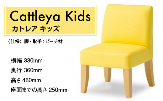 椅子 おしゃれ カトレア キッズ 1脚 [アダル 福岡県 宇美町 um40azo830000] いす イス オシャレ Cattleya 子供用 インテリア 家具
