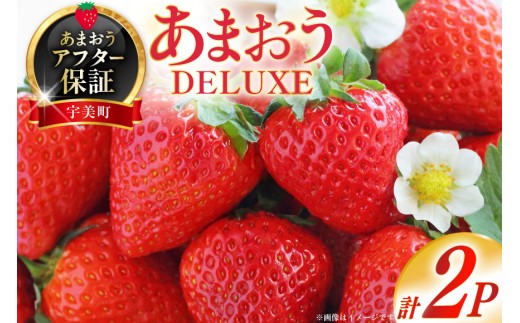 【期間限定発送】 いちご あまおう デラックス 2p [THE FARM_strawberry 福岡県 宇美町 um40azo780000] 先行予約 イチゴ 苺 フルーツ 果物 果実 甘い あまい 小分け 2パック