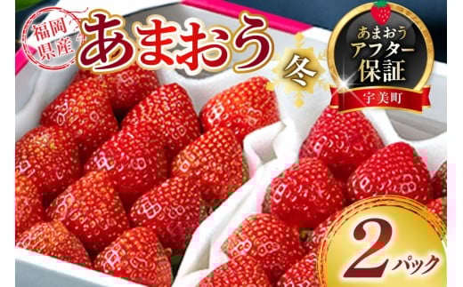 【期間限定発送】 いちご あまおう 福岡産あまおう 冬 2パック [南国フルーツ 福岡県 宇美町 um40azo970000] 先行予約 イチゴ 苺 フルーツ 果物 果実 甘い あまい 小分け