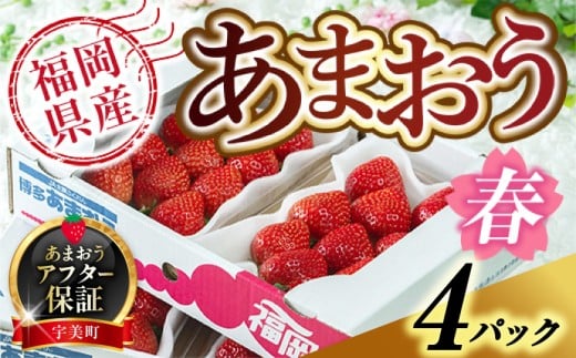 【期間限定発送】 いちご あまおう 福岡産 春 4パック [南国フルーツ 福岡県 宇美町 um40azo970002] 先行予約 イチゴ 苺 フルーツ 果物 果実 甘い 小分け あまい