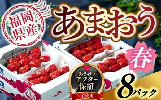 【期間限定発送】 いちご あまおう 福岡産 春 8パック [南国フルーツ 福岡県 宇美町 um40azo970004] 先行予約 イチゴ 苺 フルーツ 果物 果実 甘い 小分け あまい