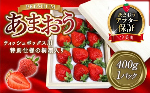【期間限定発送】 いちご あまおう プレミアム 400g 1p ティッシュ箱型 桐箱入り [THE FARM_strawberry 福岡県 宇美町 um40azo780008] 先行予約  イチゴ 苺 フルーツ 果物 果実 甘い ティッシュケース あまい 1パック