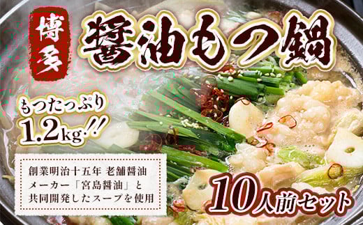 もつ鍋 博多醤油もつ鍋 10人前 セット [MEAT PLUS 福岡県 宇美町 um40azp010014] モツ鍋 もつなべ 福岡 博多 鍋