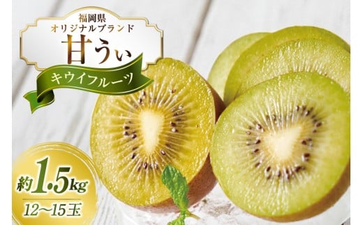 【期間限定発送】 キウイ 甘うぃ 約1.5kg [南国フルーツ 福岡県 宇美町 um40azo970032] 福岡県産 キウイフルーツ フルーツ 果物 くだもの