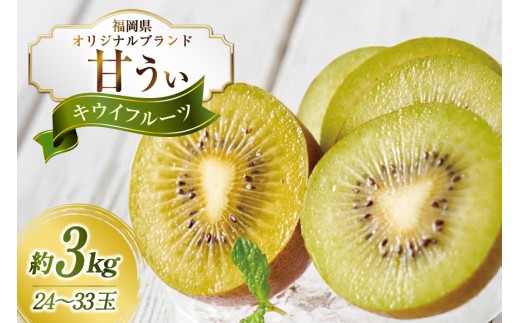 【期間限定発送】 キウイ 甘うぃ 約 3kg [南国フルーツ 福岡県 宇美町 um40azo970033] 福岡県産 キウイフルーツ フルーツ 果物 くだもの