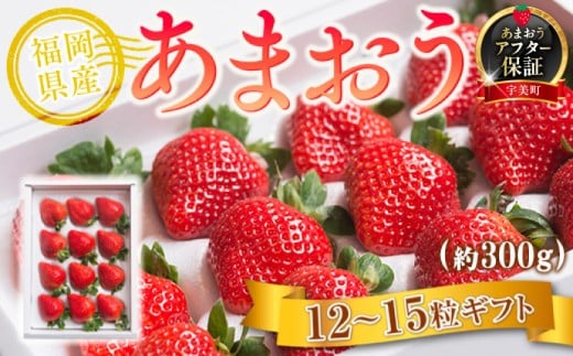 【期間限定発送】 いちご あまおう 福岡産あまおう 12〜15粒 [南国フルーツ 福岡県 宇美町 um40azo970007]  先行予約 イチゴ 苺 フルーツ 果物 果実 甘い 小分け あまい