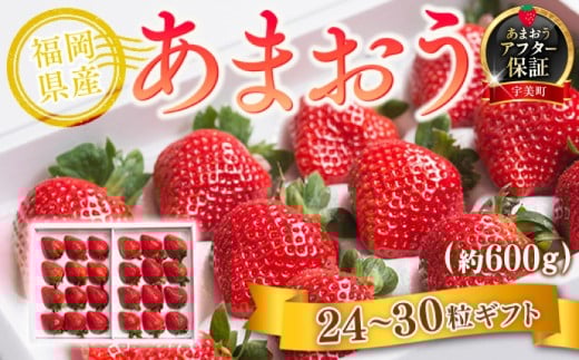 【期間限定発送】 いちご あまおう 福岡産あまおう 24〜30粒 [南国フルーツ 福岡県 宇美町 um40azo970008] 先行予約 イチゴ 苺 フルーツ 果物 果実 甘い 小分け あまい