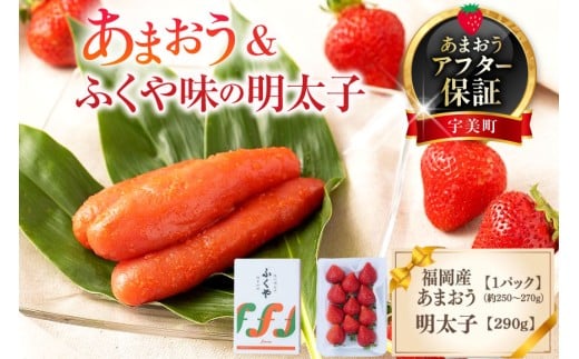 【期間限定発送】 いちご 明太子 セット 福岡産あまおう 1パック ふくや 味の明太子 290g [南国フルーツ 福岡県 宇美町 um40azo970011] 詰め合わせ 先行予約 あまおう イチゴ 苺 フルーツ 果物 果実 甘い あまい ふくや 辛子明太子 めんたいこ