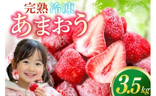 【先行受付】いちご 冷凍 冷凍 完熟 あまおう 3.5kg [ストロベリーファーム 福岡県 宇美町 um40azp070001] 先行予約 イチゴ 苺 フルーツ 冷凍フルーツ 果物 果実 甘い あまい 冷凍いちご 冷凍苺 冷凍イチゴ