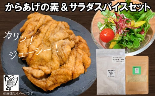 【スパイス2種セット】 からあげの素&サラダスパイス  ( 唐揚げ から揚げ からあげ 唐揚 唐戸唐揚げ 米 米粉 サラダ 野菜 鶏肉 ドレッシング 調味料 香辛料 スパイス セット 唐辛子 グルテンフリー 塩 胡椒 にんにく オールスパイス 岩塩 和食 中華 下味 料理 調理 簡単調理 ) 下関 山口