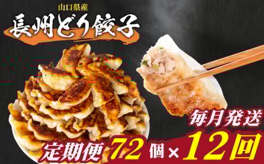 訳あり 長州どり餃子 12回 毎月 定期便 72個 12個×6パック 冷凍 小分け 大容量 ぎょうざ ギョウザ ギョーザ