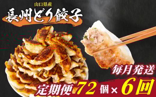 訳あり 長州どり餃子 6回 毎月 定期便 72個 12個×6パック 冷凍 小分け 大容量 ぎょうざ ギョウザ ギョーザ