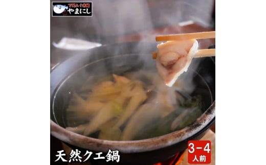 天然クエ鍋セット3~4人前(450g) 天然くえ 高級魚 アラ 魚 新鮮 下処理 クエ 希少 鍋 海鮮鍋 くえ鍋 クエ鍋 冷凍 海鮮 魚介 山口県下関産