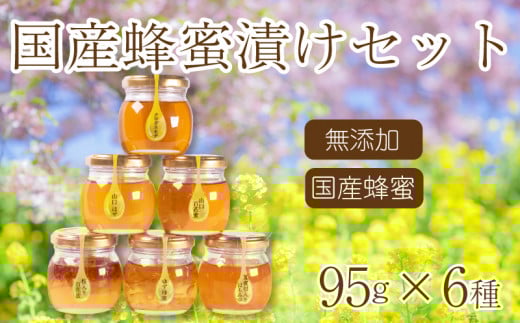 はちみつ 国産 蜂蜜漬け セット 570g( 95g×6種 ) 山口県産 下関