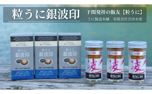 粒 うに ウニ 雲丹 ガゼウニ 銀波印 瓶うに 55g 3本 セット 常温 ギフト 贈答品 下関市 山口