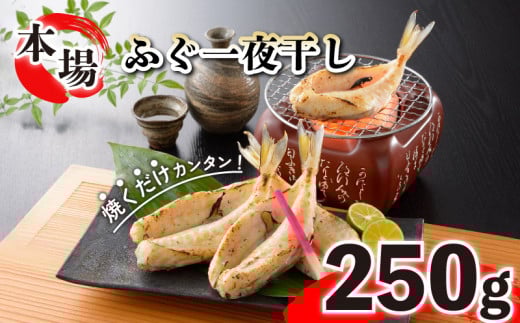 ふぐ 国産 一夜 干し 250g おつまみ ギフト