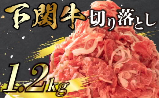 牛 切り落とし 1.2kg 冷凍 小分け 下関 国産 牛肉 赤身 ブランド 老舗 伊藤精肉店 山口 肉特集