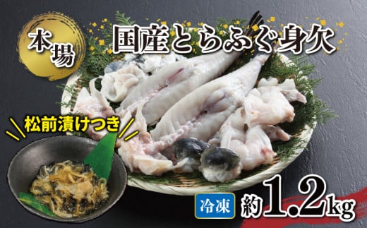 国産 とらふぐ 身欠 セット 約1.1～1.3kg ふぐ松前付付き 冷凍 下関 山口 ふぐ特集 秋 冬