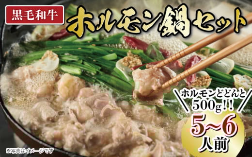 黒毛和牛 ホルモン 500g 鍋 鉄板焼用 セット 小分け 冷凍 ( タレ付き もつ焼き モツ鍋 もつ鍋 牛肉 和牛 惣菜 晩ごはん おつまみ 鍋セット ) 下関市 山口県 肉特集