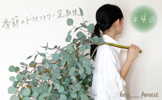 [定期便4回] 季節の草木花のスワッグ リース ( 花 お花 ドライフラワー 手作り アレンジメント 定期便 お楽しみ 花 お花 フラワー アレンジメント ブーケ リース スワッグ ギフト 誕生日 記念日 母の日 クリスマス インテリア 雑貨 植物 自宅用 お祝い 贈り物 ) 下関 山口 💐