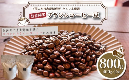 【中挽き】 訳あり コーヒー豆 800g ( 400g × 2袋 ) 数量限定 ブラジル 珈琲 自家焙煎 下関 山口 再入荷 2024年度入荷分